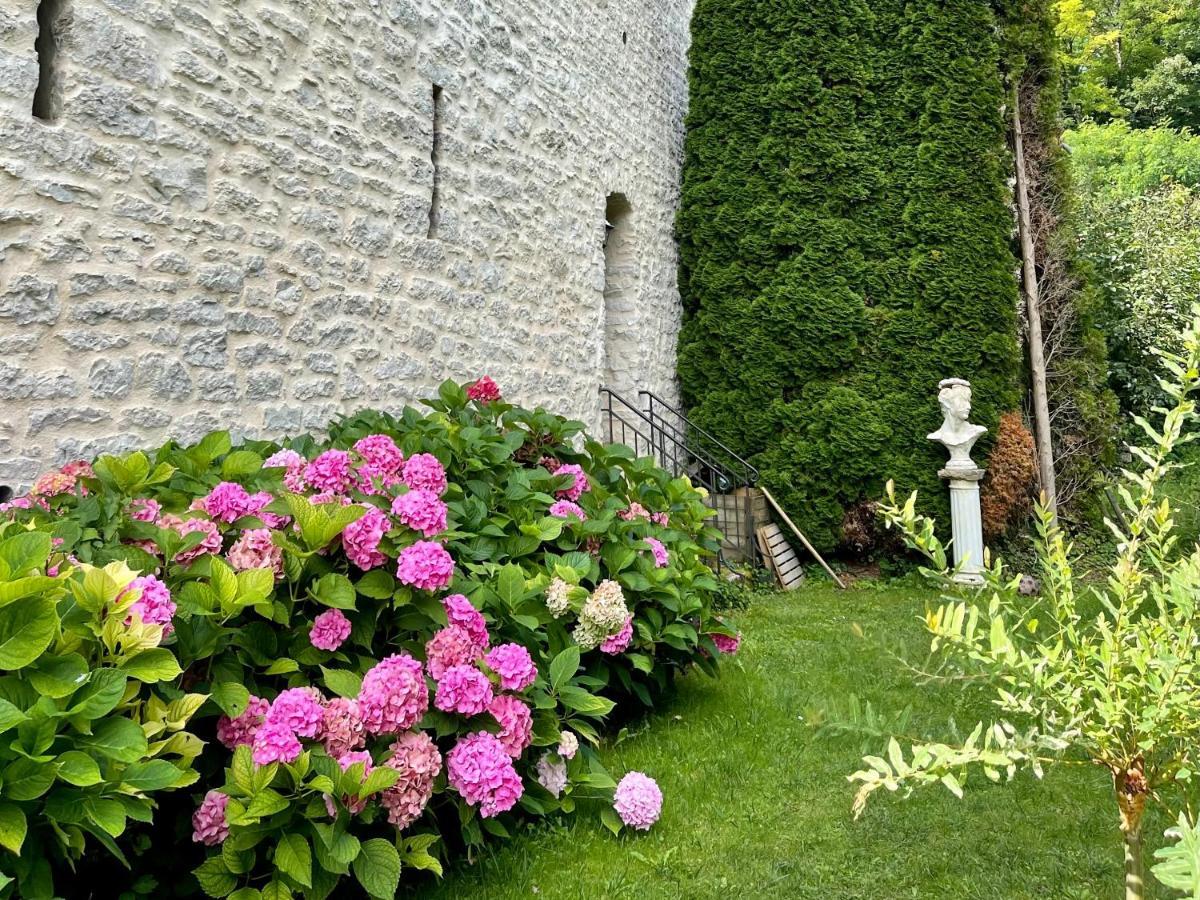 Bed and Breakfast Manoir Saint-Pierre Villersexel Esterno foto