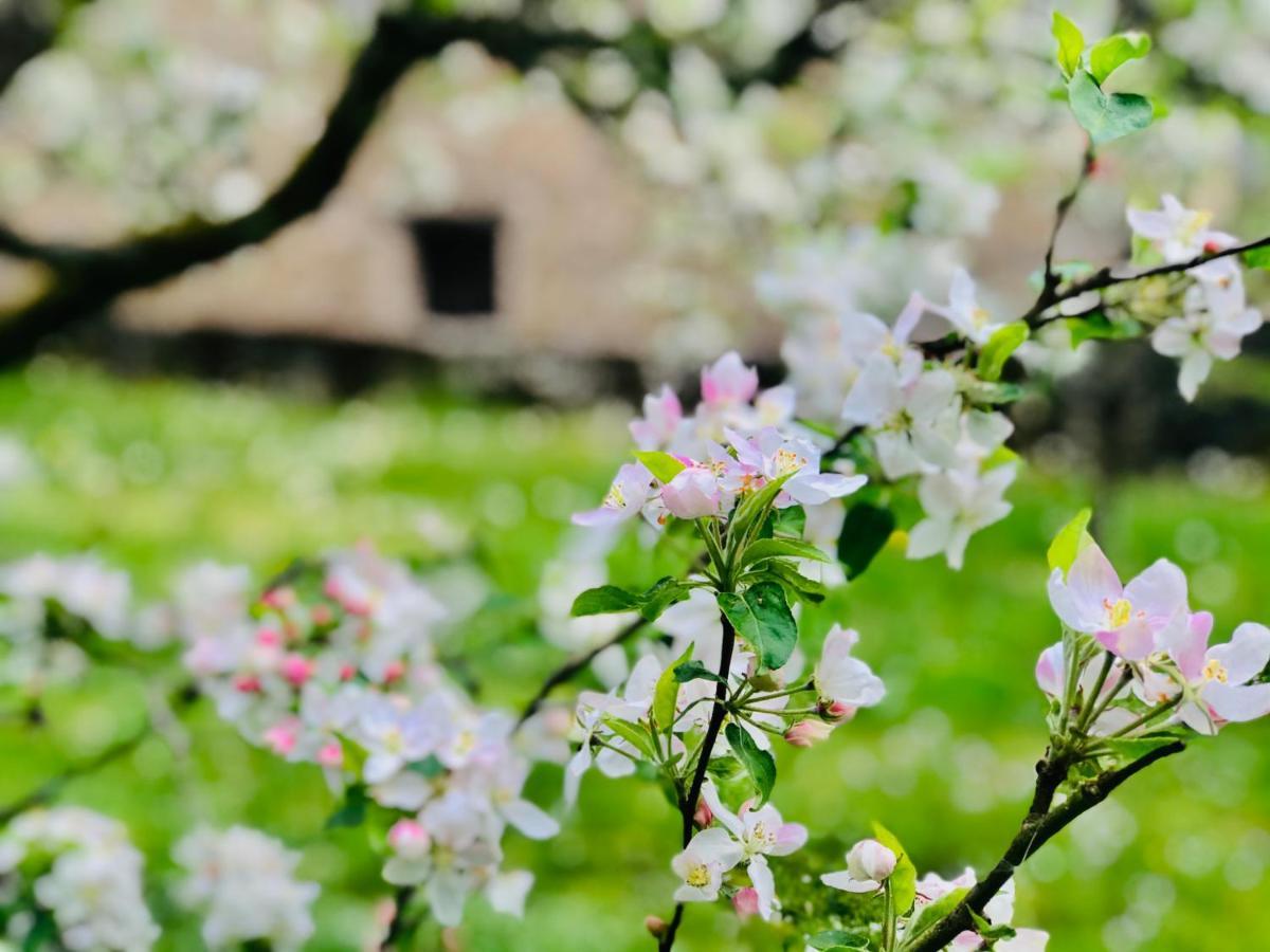 Bed and Breakfast Manoir Saint-Pierre Villersexel Esterno foto