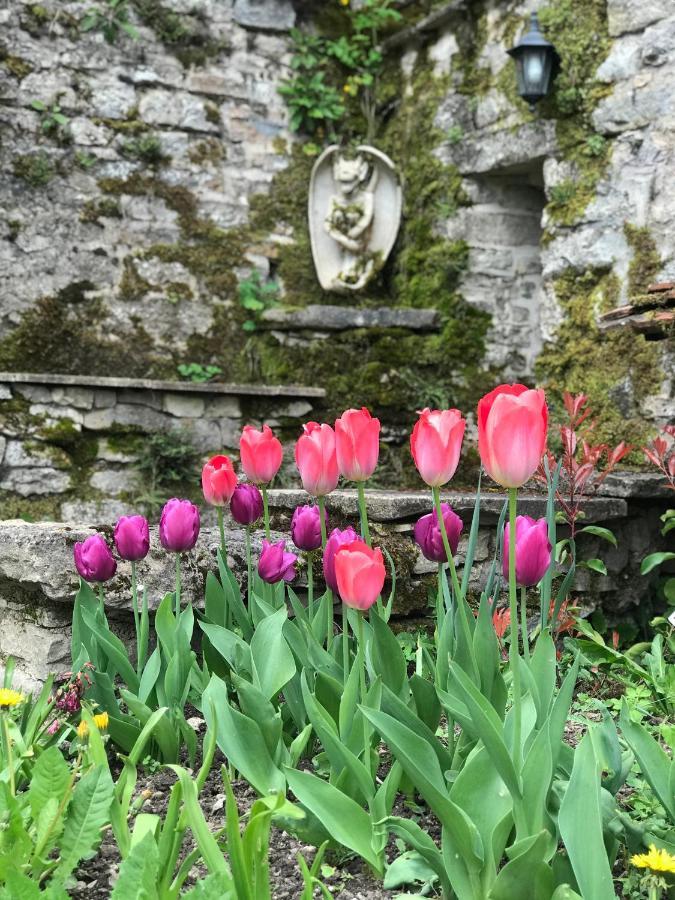 Bed and Breakfast Manoir Saint-Pierre Villersexel Esterno foto