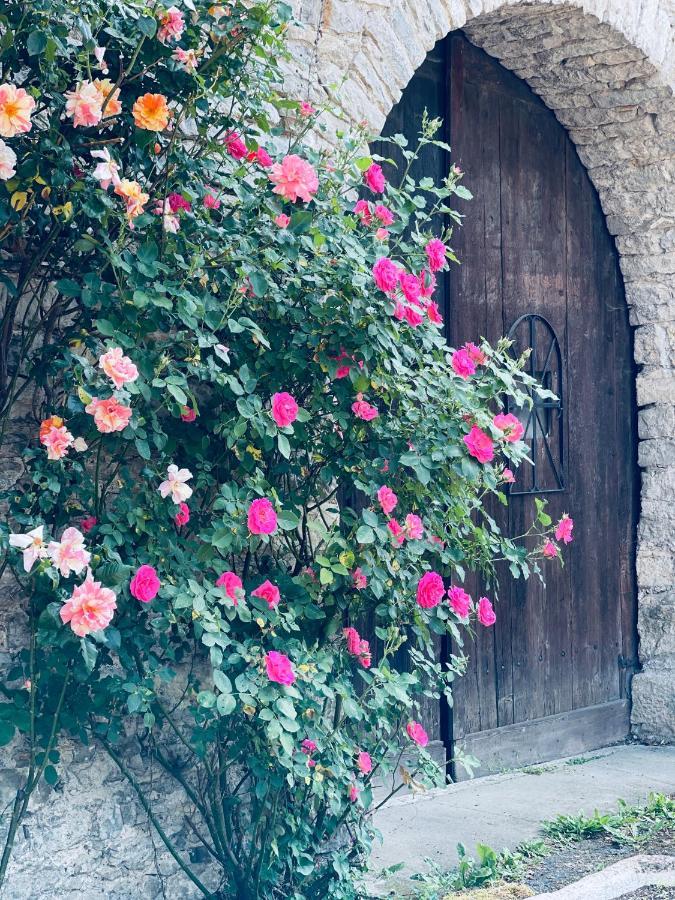 Bed and Breakfast Manoir Saint-Pierre Villersexel Esterno foto